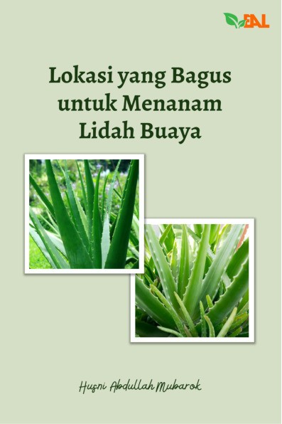 Lokasi yang Bagus untuk Menanam Lidah Buaya